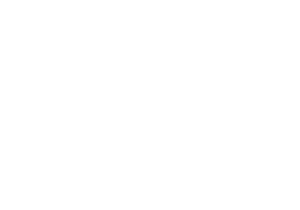 Official Selection — MTM Festival 2026